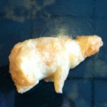 The Polar Bear Shaped Chicken Piece