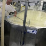 Making cheese at the Chalet Cheese Co-op