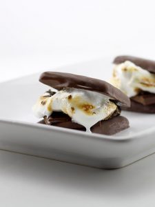 S'mores Girl Scout Cookies S'mores