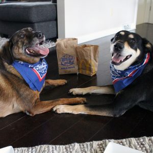 McDonald's vs. White Castle Puppy Taste Test