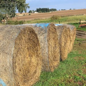 2 ton hay bales!